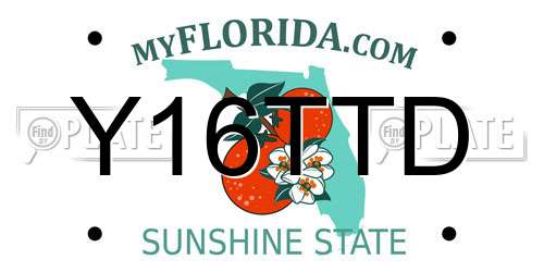 Y16TTD Florida License Plate