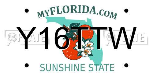 Y16TTW Florida License Plate