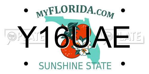 Y16UAE Florida License Plate