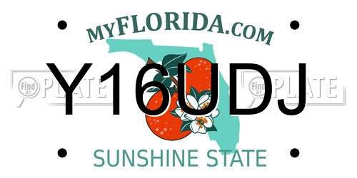 Y16UDJ Florida License Plate