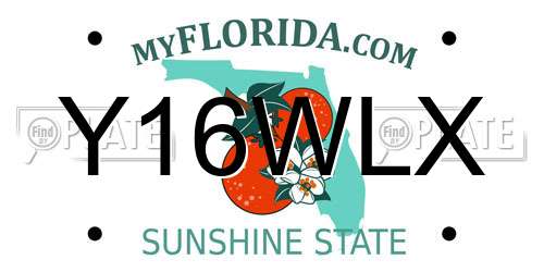 Y16WLX Florida License Plate