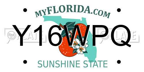 Y16WPQ Florida License Plate