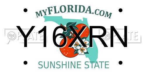 Y16XRN Florida License Plate