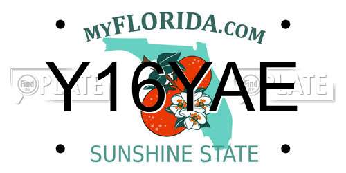 Y16YAE Florida License Plate