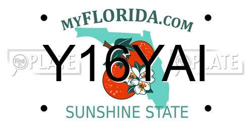 Y16YAI Florida License Plate
