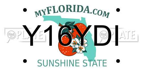 Y16YDI Florida License Plate
