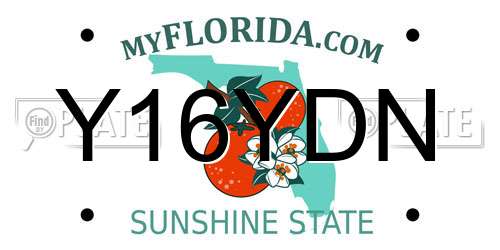 Y16YDN Florida License Plate