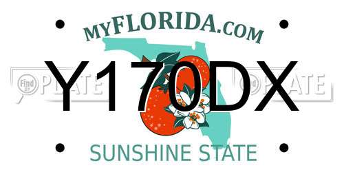 Y170DX Florida License Plate