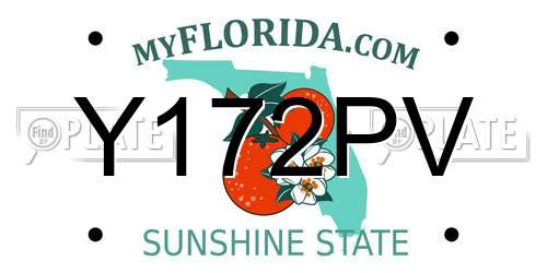 Y172PV Florida License Plate