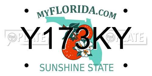 Y173KY Florida License Plate