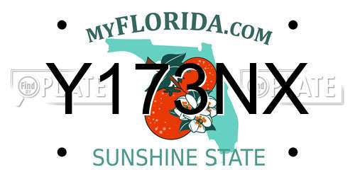 Y173NX Florida License Plate