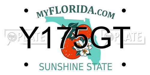 Y175GT Florida License Plate