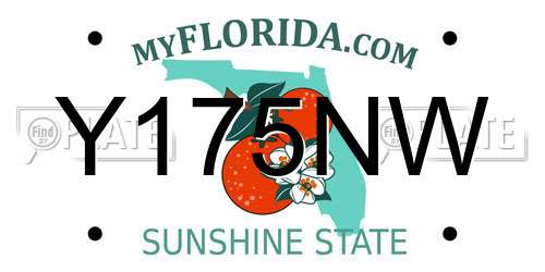 Y175NW Florida License Plate