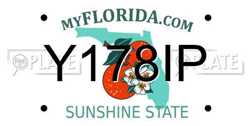 Y178IP Florida License Plate