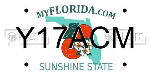 Y17ACM Florida License Plate