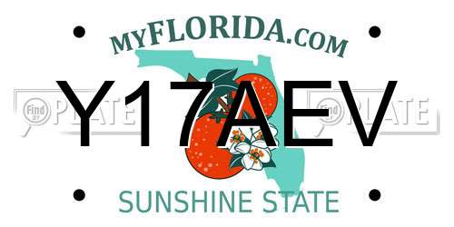 Y17AEV Florida License Plate