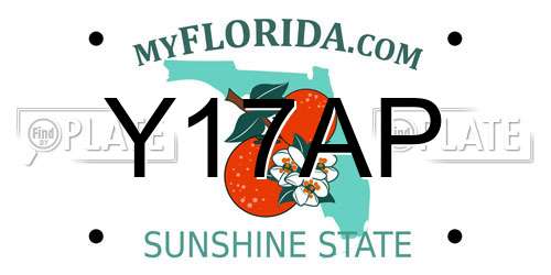 Y17AP Florida License Plate