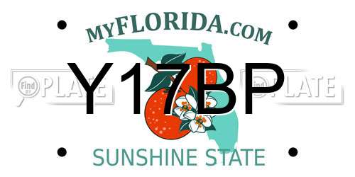 Y17BP Florida License Plate
