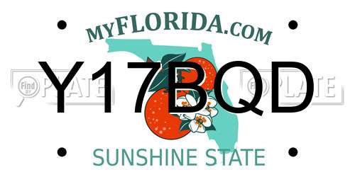 Y17BQD Florida License Plate