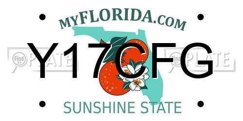 Y17CFG Florida License Plate