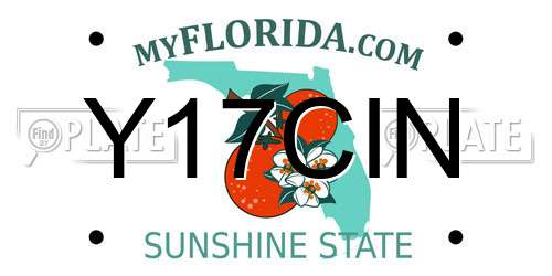 Y17CIN Florida License Plate