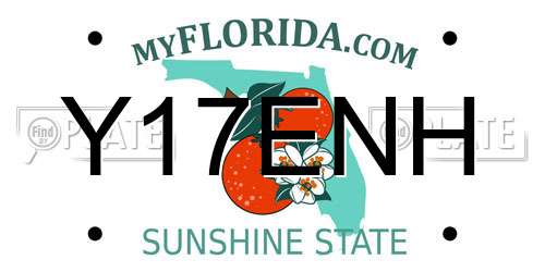 Y17ENH Florida License Plate