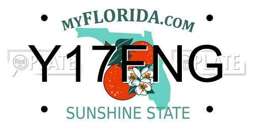 Y17FNG Florida License Plate