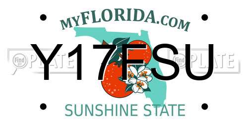 Y17FSU Florida License Plate