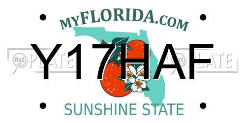 Y17HAF Florida License Plate