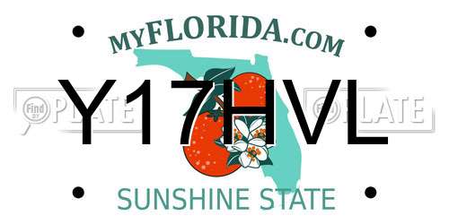 Y17HVL Florida License Plate