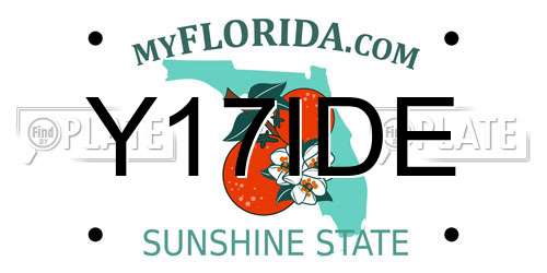 Y17IDE Florida License Plate