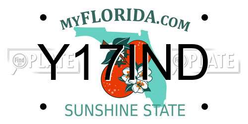 Y17IND Florida License Plate