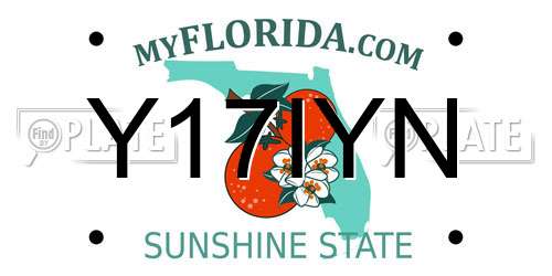 Y17IYN Florida License Plate