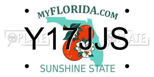 Y17JJS Florida License Plate