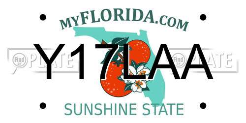 Y17LAA Florida License Plate