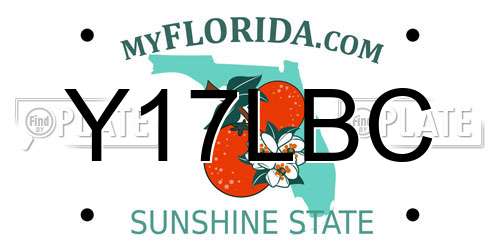 Y17LBC Florida License Plate