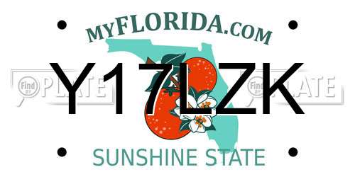 Y17LZK Florida License Plate