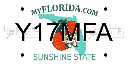 Y17MFA Florida License Plate