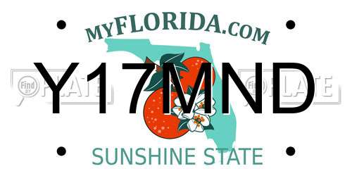 Y17MND Florida License Plate