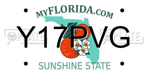 Y17PVG Florida License Plate