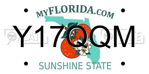 Y17QQM Florida License Plate