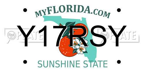 Y17RSY Florida License Plate