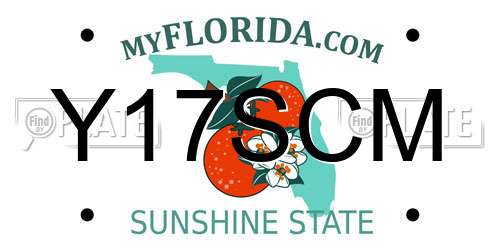 Y17SCM Florida License Plate