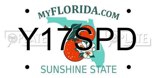 Y17SPD Florida License Plate