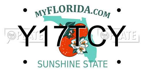 Y17TCY Florida License Plate