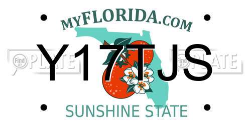 Y17TJS Florida License Plate