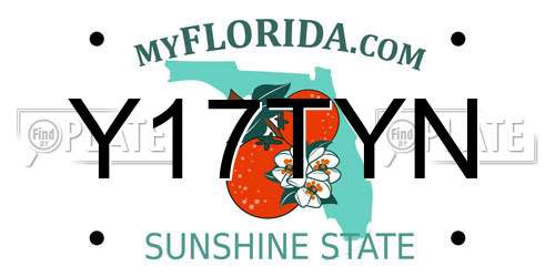 Y17TYN Florida License Plate