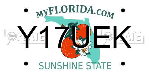 Y17UEK Florida License Plate