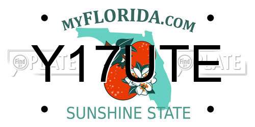 Y17UTE Florida License Plate