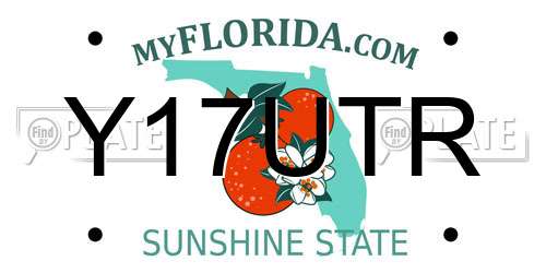 Y17UTR Florida License Plate